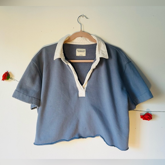 Abercrombie & Fitch Tops - Abercrombie & Fitch Light Blue and White Polo Fleece Rugby Cropped Top Shirt L